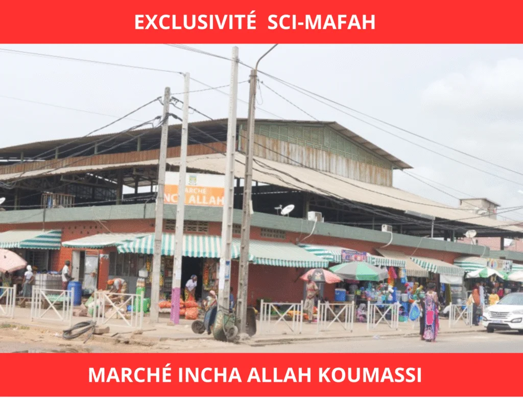 realisation-SCI-MAFAH (3)